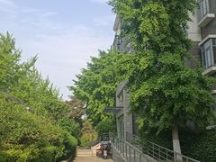 -中粮·祥云小镇