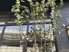 -小碗大胃(福久源新天地店)
