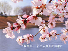 -坝河休闲公园