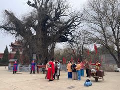 -大槐树寻根祭祖园