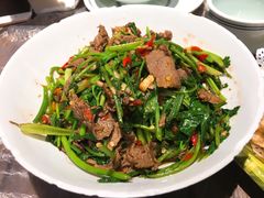 -壹盏灯(惠农店)