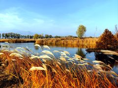 -野鸭湖国家湿地公园