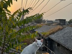 -前叁門