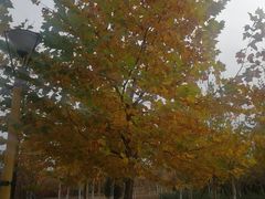 -中家鑫园温泉酒店鑫悦汤泉