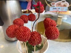 -椿记烧鹅(叠彩店)