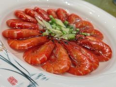 -丁老爷子苏香圆