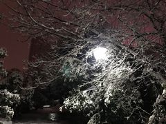-环城公园-琥珀潭