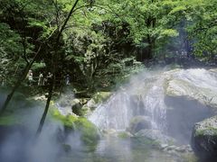 -牛背梁国家森林公园