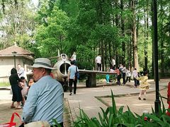 -青龙山国家森林公园