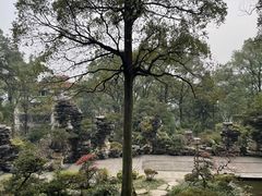 -南山植物园