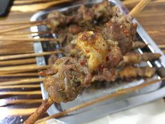 -民族烤羊·烤羊肉串·烤羊排(南城店)
