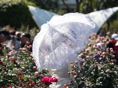 -人民公园(罗湖区)