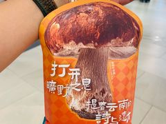 -芸山季·云南野生菌火锅(南翔印象城MEGA店)