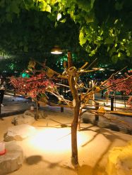 -酷嗒动物文化乐园(cutezoo西溪乐天城店)