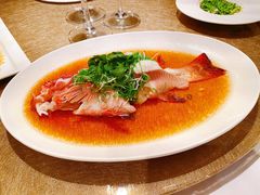 清蒸东星斑-苏浙总会(国金中心店)