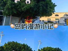 -巨鹏飞梦幻海岸