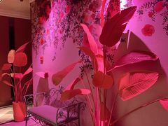 -纯K(打浦桥店)