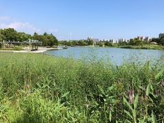 -苏州东太湖生态园