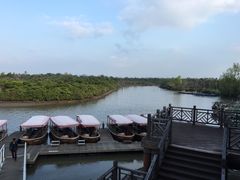 -东寨港红树林旅游区
