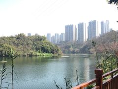 -重庆彩云湖湿地公园