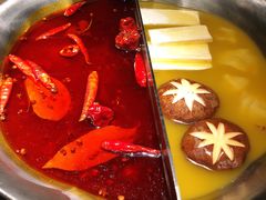 红颜花胶鸡锅-湊湊火锅·茶憩(石家庄万象城店)