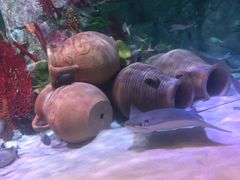 -沈阳海洋探索中心