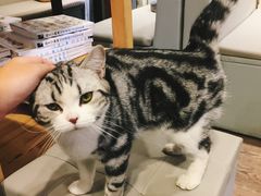 -小时光咖啡馆(开森度假森林店)