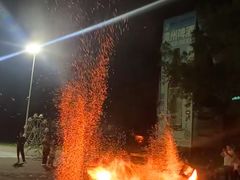 -东南花都花博园