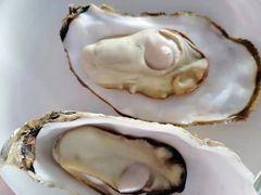 -叶存利海鲜大馅饺子(东戴河止锚湾店)