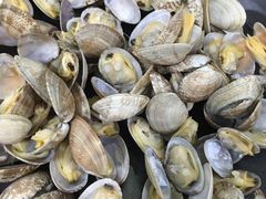 -二红烧烤排骨串(麦岛店)