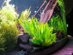 -上海海洋水族馆