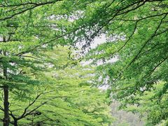 -广东工业大学(大学城校区)