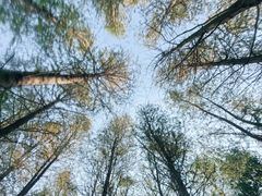 -上海海湾国家森林公园