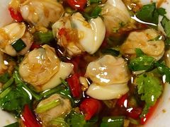 -拾下卜卜贝•海鲜火锅