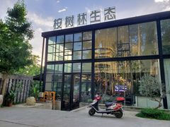 -桉树林A coffee 森林餐厅(三圣乡店)