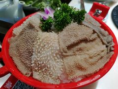 精品千层肚-孙毛肚火锅(春熙路店)