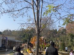 -HERRE·FARM 赫尔露营农场·团建聚会包场