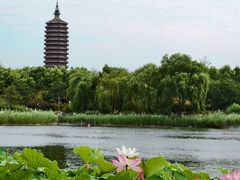 -西海子公园