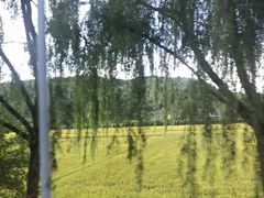 -南泥湾风景区