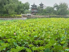 -迎泽公园