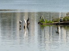 -海珠湖公园