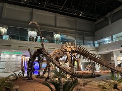 -自贡恐龙博物馆