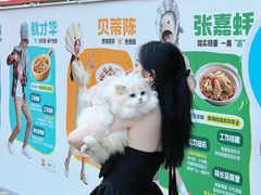 -陈鹏鹏潮汕菜(欢乐海岸 海边景观店)