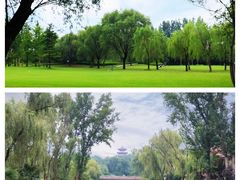 -思念果岭悦温泉