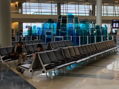 -达拉斯 沃斯堡国际机场