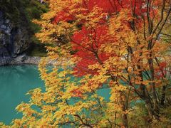 -叠溪松坪沟景区