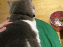 -万小咖.猫咖(中山路天虹店)