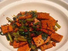 荆芥烧信阳地锅豆腐-阿五黄河大鲤鱼(英协路店)