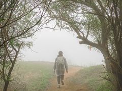 -灵山