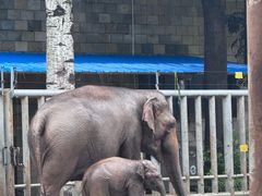 -石家庄市动物园